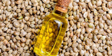 Sunday Special: The Hemp Seed Trivia