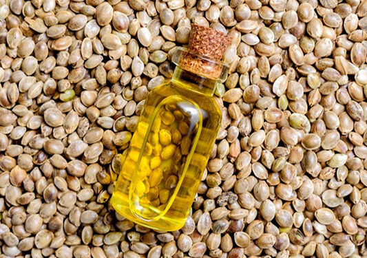 Sunday Special: The Hemp Seed Trivia