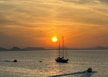 Brewing healthcare: Tata Tea to launch Gold Vita-Care on World Vitamin D Day