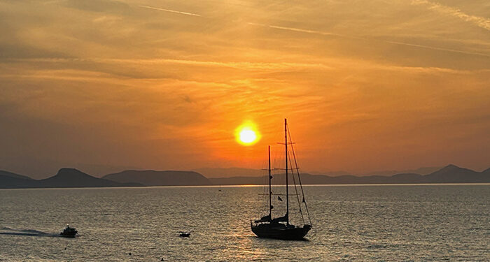 Brewing healthcare: Tata Tea to launch Gold Vita-Care on World Vitamin D Day