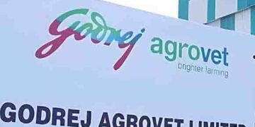 Milk yields from compound feed for cattle better than raw material and waste feeds