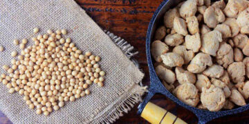 Delectable December-end Delicacies using Soya Chaap