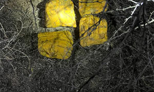 BSF seizes 6 kg heroin near Indo-Pakistan border in Rajasthan’s Barmer