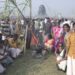 Mattu Pongal: Native Cow breeds expo draws lakhs of enthusiastic crowds