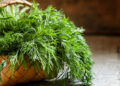 Global gastronomy for family health: Delicacies using Dill Leaves