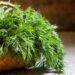 Global gastronomy for family health: Delicacies using Dill Leaves