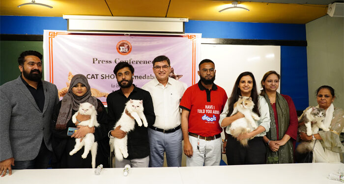Purr-fectly fantastic Saturday: FCI to hold 2nd edition of Championship Cat show in Ahmedabad