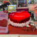 Havmor Ice Cream celebrated Valentine’s Day with grand fanfare, enthusiasm across Gujarat