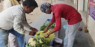  CSR: ACC’s LEISA project boosts incomes & crop yields for farmers in Bargarh, Odisha