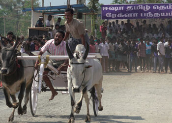 First-ever Rekla Race at Isha Yoga Center adds flair to Tamil Thembu Celebrations