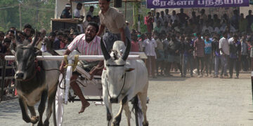 First-ever Rekla Race at Isha Yoga Center adds flair to Tamil Thembu Celebrations