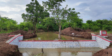 World Water Day: ACC’s water conservation efforts empower communities in Maharashtra