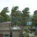 Cyclone Remal makes landfall with 135 kmph speed, uproots trees in Bengal; heavy rain may continue, warns IMD