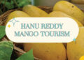 The Great Mango Festival Returns – A Sweet Celebration of Summer