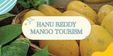 The Great Mango Festival Returns – A Sweet Celebration of Summer