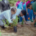 World Environment Day: With plantation drive, ITC Narmada champions green initiatives