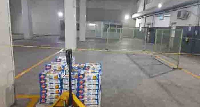 National Mango Day: Gujarat exported 689.5 tonnes of king of fruits in 2023-24