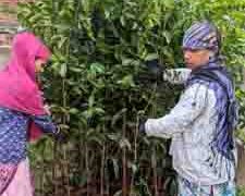 Adani Group to give 11 lakh saplings for Indore as part of its pledge to plant 100 mn trees