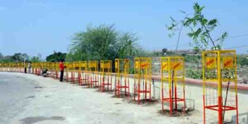 Miraj Group commits to green future with 1 crore tree plantation drive in Udaipur and Nathdwara