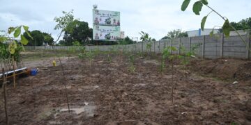 Karmayogis Commit to Environmental Protection Beyond Daily Duties