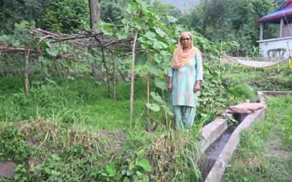 Adani Foundation at ACC Gagal boosts agri produce for rural farmers in HP