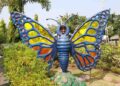 Butterfly Garden: Flapping beauties with vibrant colours woo nature lovers to Statue of Unity