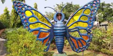 Butterfly Garden: Flapping beauties with vibrant colours woo nature lovers to Statue of Unity