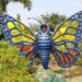 Butterfly Garden: Flapping beauties with vibrant colours woo nature lovers to Statue of Unity
