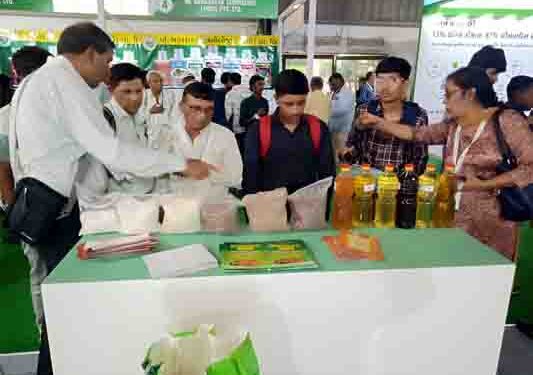NK Proteins to help 20K castor farmers of Gujarat with high-quality seeds and organic fertilisers
