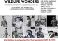 Youth Serve Foundation extends ‘Wildlife Wonders’, a photo expo, till Sunday