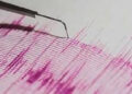 4.2 magnitude earthquake hits North Gujarat, tremors felt in Ahmedabad, Gandhinagar, Morbi