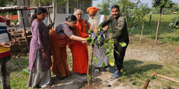 Krishna Vad Abhiyan: Gujarat CM sets ambitious target of planting 17 cr trees by March 2025