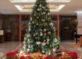 Ahead of festive season, Taj Coromandel Chennai unveils eco-friendly Christmas tree