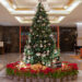 Ahead of festive season, Taj Coromandel Chennai unveils eco-friendly Christmas tree