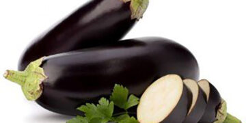 Ways with Eggplant: A humble, interesting & globally famous delicacy