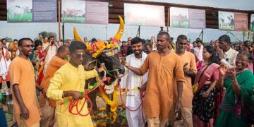 Isha celebrates Pongal with native cattle breeds and traditional folk arts in Kovai