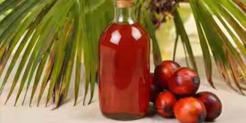 World Cancer Day Special: Decode the link between Palm Oil and cancer with science