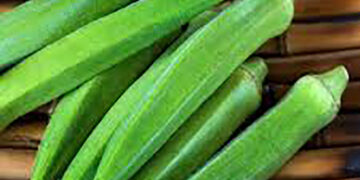 Sunday Special: The Adorable Okra!
