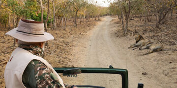 PM Modi chairs Wildlife Board meet in Gujarat’s Sasangir, announces 16th Asiatic lion census