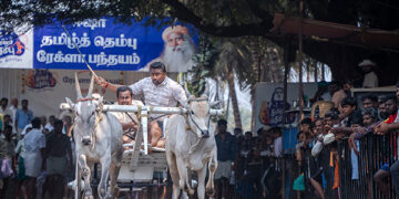 Thundering Hooves and Racing Carts: Rekla Race electrifies Tamil Thembu Festival!