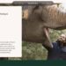 Vantara unveils new website featuring a future-ready, immersive digital experience in wildlife rescue, conservation in Mother Nature’s lap