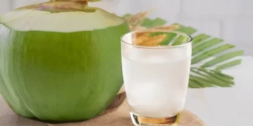 Summer Special: The Coconut Trivia