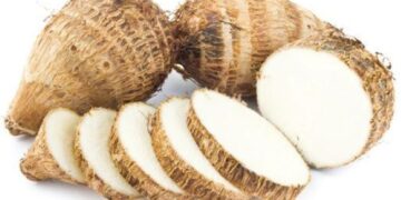 Sunday special: Calling On Colocasia