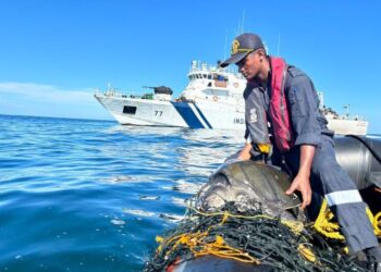 Operation Olivia: ICG protects over 6.98 lakh Olive Ridley Turtles along Odisha Coastline