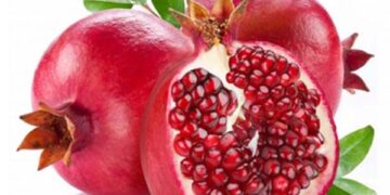 The Power of The Fruit of the Gods, Pomegranate