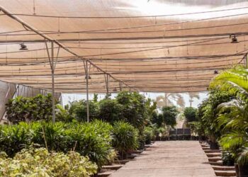 SVPI Airport uses smart tech to save water — set to save over 17,850 kilolitres of water annually