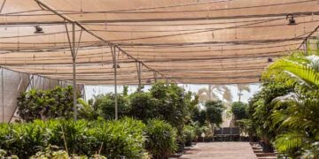 SVPI Airport uses smart tech to save water — set to save over 17,850 kilolitres of water annually