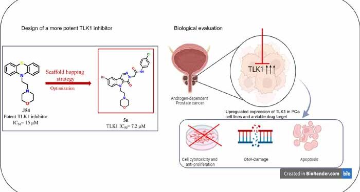IITGN researchers develop smarter drugs to overcome treatment resistance in prostate cancer