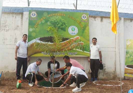 ICG North West Region plants over 1,000 trees to mark World Environment Day
