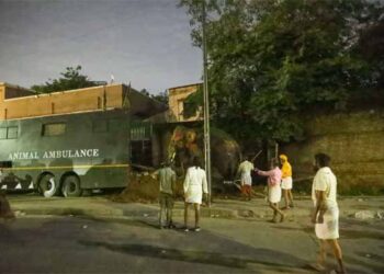 Anant Ambani’s Vantara steps in to aid elephants in distress at 148th Jagannath Rath Yatra